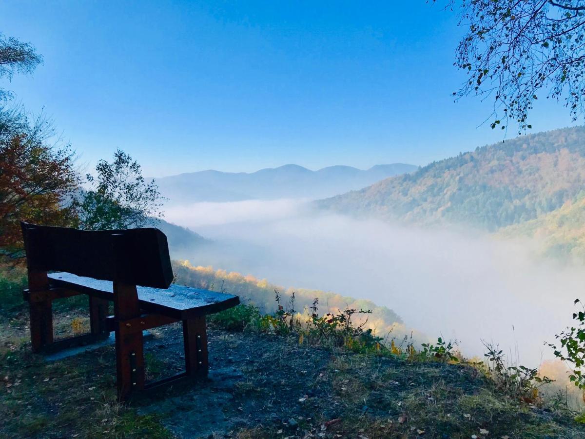 Carpe Diem - Cote-Montagnes Oderen Exteriör bild